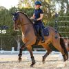 Self-Cool Dressage Square Arctic White - Imagen 5