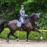 Loire Classic Dressage Square Twilight Grey