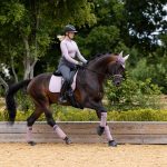 Suede Dressage Square Musk