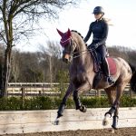 Soft Shell Anti Slip Dressage Square Burgundy