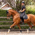 Soft Shell Anti Slip Dressage Square Black