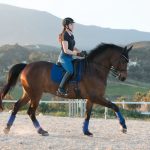 Suede Dressage Square Benetton Blue