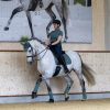 Carbon Mesh Dressage Square Sage - Imagen 5