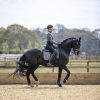 Self-Cool Dressage Square Polar Grey - Imagen 2