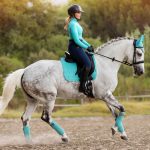 Suede Dressage Square Azure