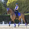 Carbon Mesh Dressage Square Bluebell - Imagen 3