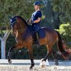 Le Cool Grip Dressage Pad Navy - Imagen 3