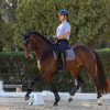 Le Cool Grip Dressage Pad Grey - Imagen 3