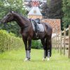 Carbon Mesh Dressage Square Grey - Imagen 3