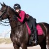 Carbon Mesh Dressage Square Mulberry - Imagen 5