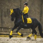 Loire Memory Dressage Square Dijon