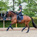 Loire Classic Dressage Square Twilight Navy