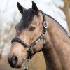 Capella Headcollar Black - Imagen 2