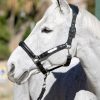Capella Headcollar Black - Imagen 3