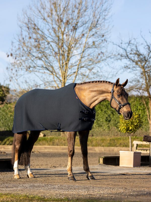 Arika Clima-Tek Rug Navy