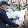 Cotton Dressage Competition Square White - Imagen 2