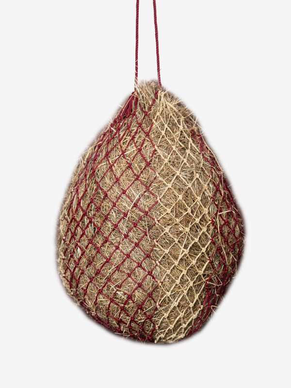 Hippo Haynet Burgundy