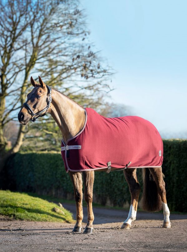 Arika Jersey-Tek Fleece Burgundy