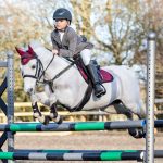 Junior Pro GP/Jump Square Burgundy