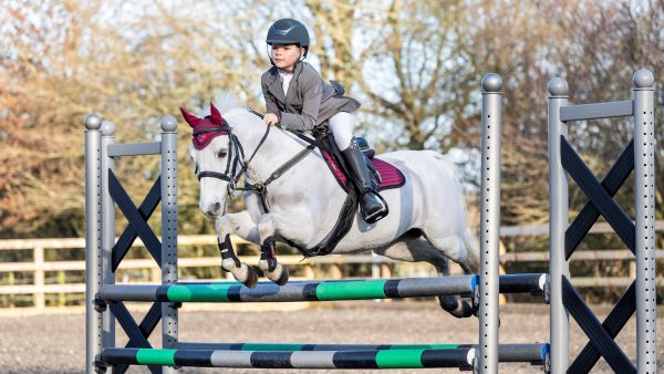 Junior Pro GP/Jump Square Burgundy