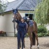Ladies Elite V-Neck Jumper Navy - Imagen 3