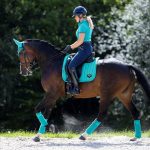 Loire Memory Dressage Square Azure