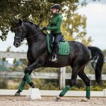 Loire Memory Dressage Square Hunter Green