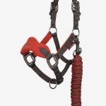 Mini Vogue Headcollar & Leadrope Sienna