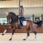 Suede Dressage Square Mink