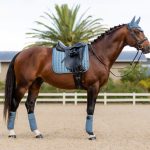 Loire Memory Dressage Square Ice Blue
