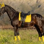 Suede Dressage Square Dijon