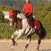 Grafter Brushing Boot Chilli - Imagen 4