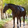 Grafter Brushing Boot Ice Blue - Imagen 4