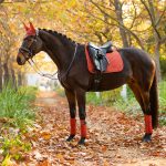 Suede Dressage Square Sienna