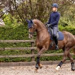 Soft Shell Anti Slip Dressage Square Navy
