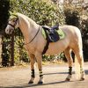 Junior Loire Fly Hood Kiwi - Imagen 2