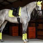 Suede Dressage Square Kiwi