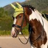 Classic Fly Hood Kiwi - Imagen 3