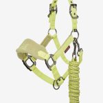 Mini Vogue Headcollar & Leadrope Kiwi