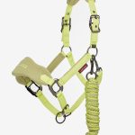 Vogue Headcollar & Leadrope Kiwi