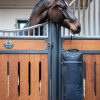 Elite Pro Bridle Bag Black - Imagen 2