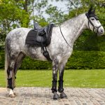 Dressage Work Pad Black