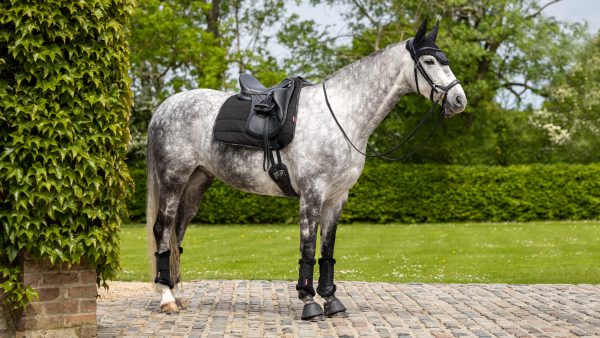 Dressage Work Pad Black