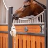 Horse Toy Banana - Imagen 2