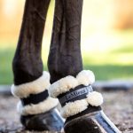 Fleece Pastern Wrap Black