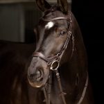 Arika Drop Bridle Brown/Silver