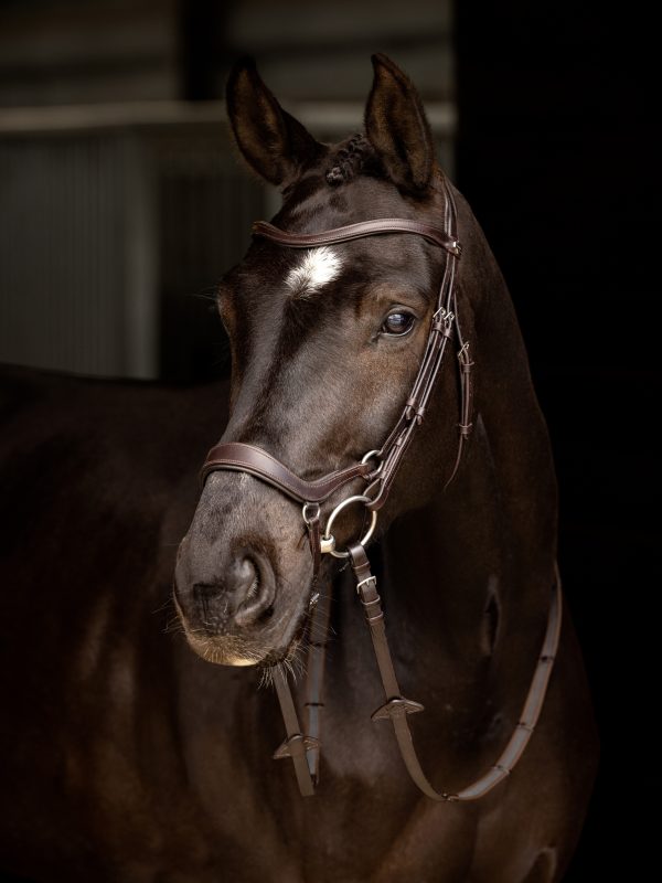 Arika Drop Bridle Brown/Silver