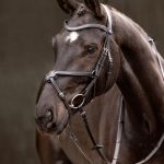 Arika Grackle Bridle Black/Silver