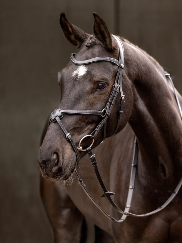 Arika Grackle Bridle Black/Silver
