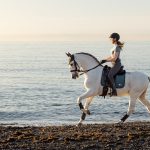 Earth Dressage Square Ocean